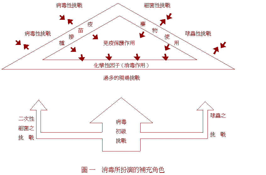 wpe36.jpg (44681 bytes)