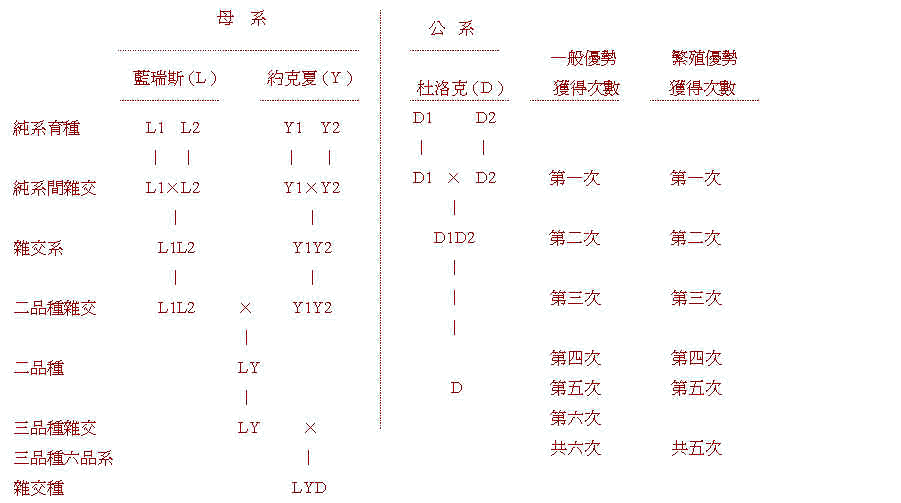 wpe37.jpg (39504 bytes)