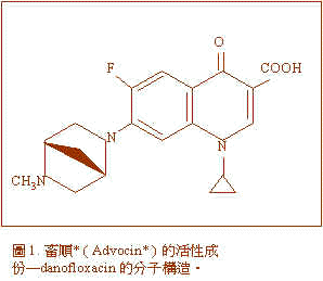 wpe62.jpg (10698 bytes)