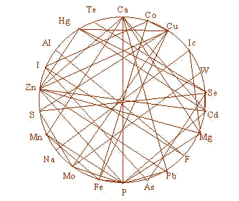 wpe83.jpg (21354 bytes)