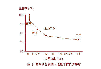 wpe91.jpg (11056 bytes)
