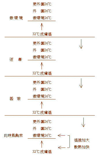 wpe22.jpg (20103 bytes)