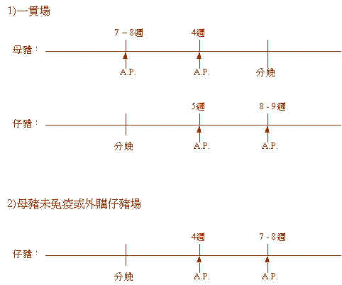 wpe25.jpg (15067 bytes)
