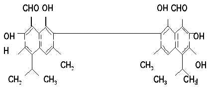 wpe43.jpg (8422 bytes)