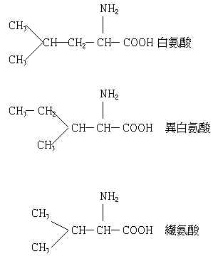 wpe42.jpg (10627 bytes)