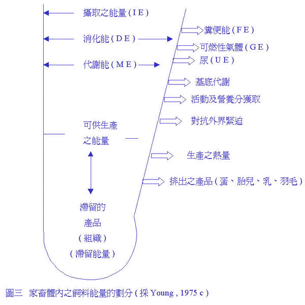 2.jpg (46432 bytes)