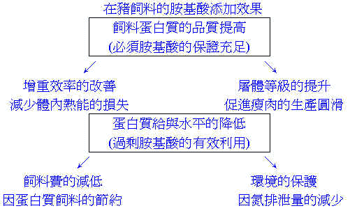 wpe5C.jpg (34561 bytes)