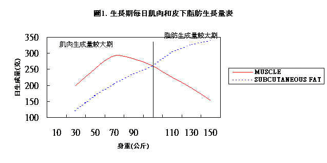 wpe5C.jpg (20887 bytes)