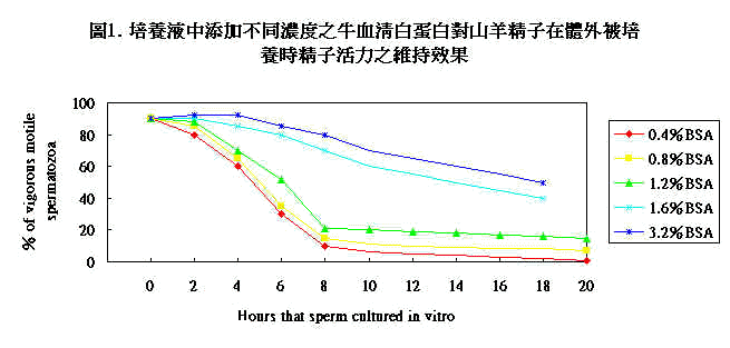 wpe7C.jpg (20822 bytes)