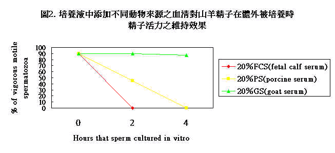 wpe8B.jpg (22978 bytes)