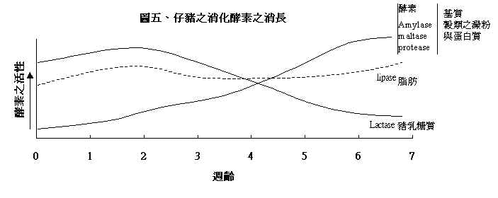 wpe90.jpg (17880 bytes)
