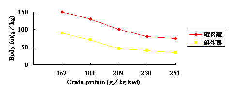 wpeB3.jpg (9474 bytes)