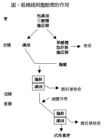 wpe125.jpg (15152 bytes)