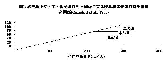 wpe12E.jpg (13802 bytes)
