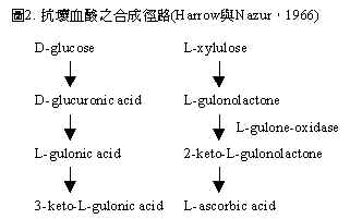 wpe145.jpg (9196 bytes)