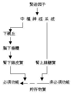 wpe147.jpg (7787 bytes)