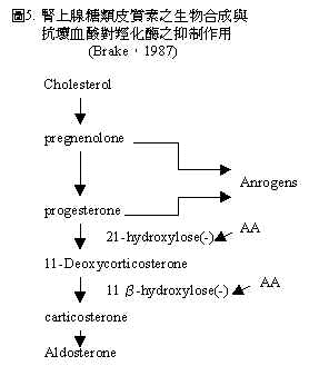wpe148.jpg (11712 bytes)