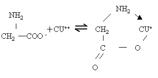 96年08期P63.gif (1849 bytes)
