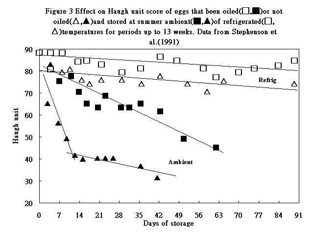 97�~7��p48.GIF (8279 bytes)