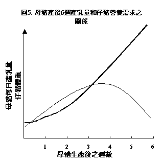 97��9��P45.GIF (3434 bytes)