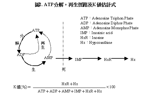 98�~2��P40.GIF (4663 bytes)