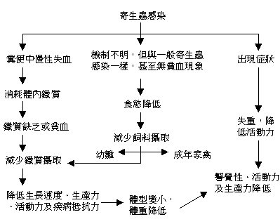 98�~3��p32.GIF (5134 bytes)
