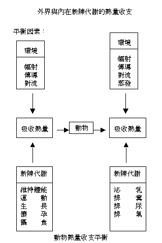 98�~9��P84.GIF (5506 bytes)