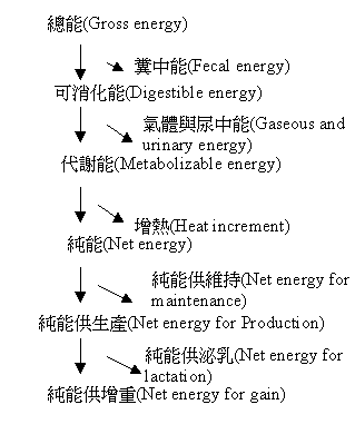 98�~9��p87.GIF (5352 bytes)