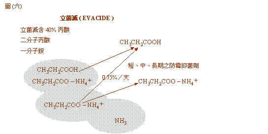 wpe53.jpg (15969 bytes)