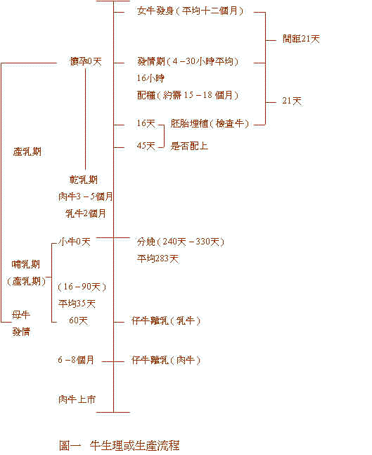 wpe56.jpg (28622 bytes)