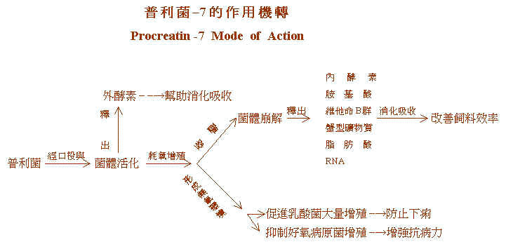 wpe6B.jpg (25710 bytes)