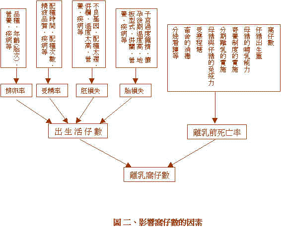 wpe73.jpg (37042 bytes)