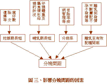 wpe74.jpg (19944 bytes)