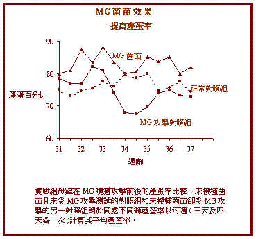 wpe6C.jpg (23039 bytes)