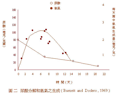 wpe89.jpg (18443 bytes)