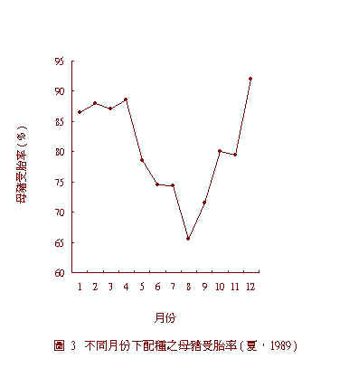 wpe8B.jpg (12178 bytes)