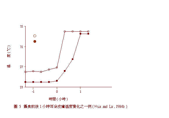 wpe8D.jpg (15152 bytes)