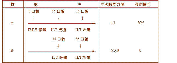 wpeBB.jpg (16631 bytes)