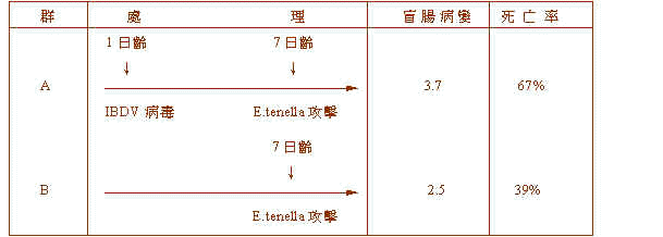 wpeBC.jpg (15780 bytes)