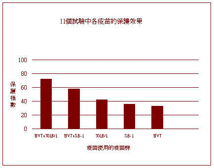 wpe23.jpg (18190 bytes)