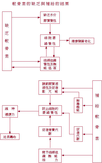 wpe14.jpg (36102 bytes)