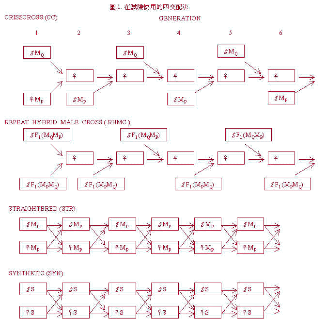 wpeD.jpg (59210 bytes)