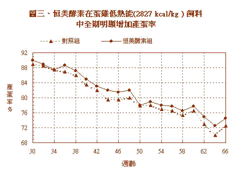 wpeF.jpg (24666 bytes)