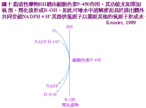 wpeB6.jpg (22825 bytes)