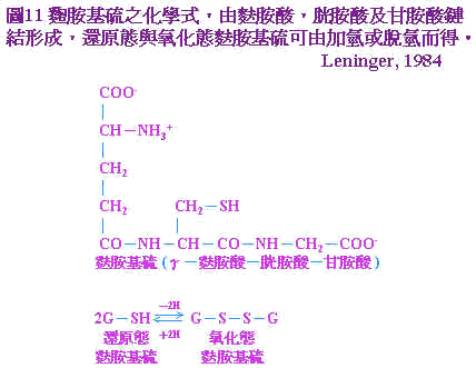 wpeC9.jpg (20645 bytes)