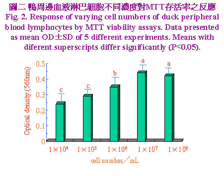 wpe90.jpg (30185 bytes)
