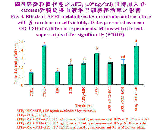 wpe9C.jpg (49664 bytes)