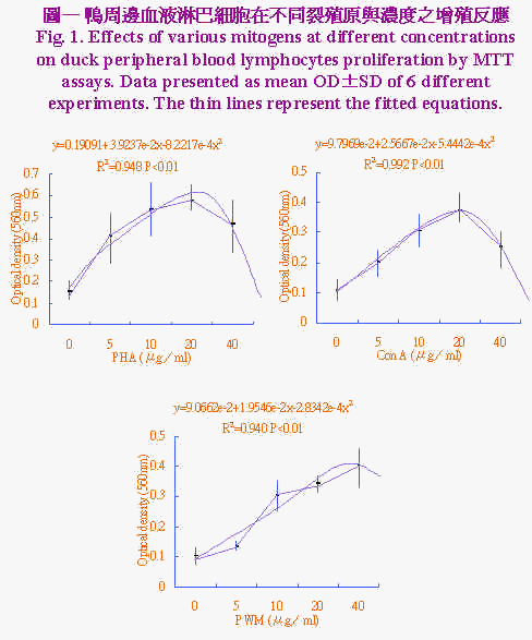 wpeA6.jpg (42977 bytes)