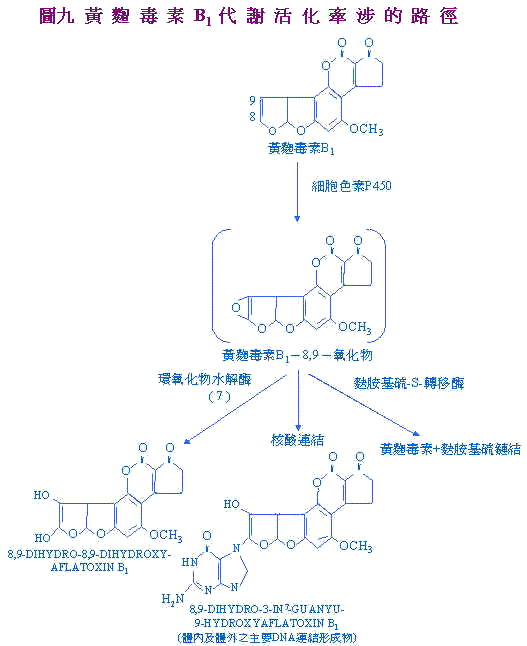 wpeBA.jpg (36315 bytes)