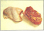 8301-6b.jpg (19181 bytes)